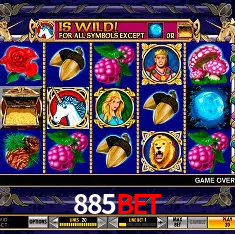 885bet Brasília - VIP Program